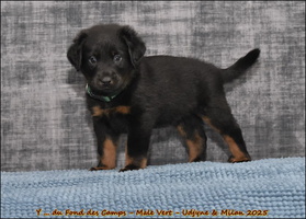  DSC0071 [LIR5 1024x768]