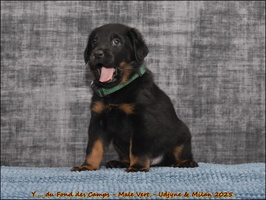  DSC0077 [LIR5 1024x768]