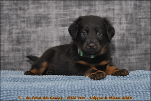  DSC0088 [LIR5 1024x768]