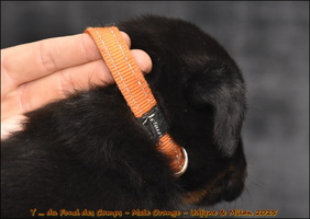  DSC0116 [LIR5 1024x768]