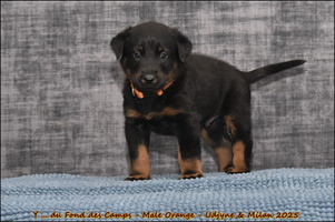  DSC0119 [LIR5 1024x768]