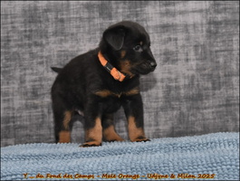  DSC0121 [LIR5 1024x768]