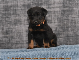  DSC0127 [LIR5 1024x768]