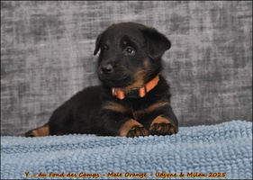  DSC0132 [LIR5 1024x768]