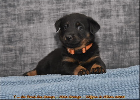  DSC0134 [LIR5 1024x768]