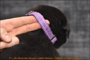  DSC0106 [LIR5 1024x768]