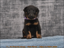  DSC0109 [LIR5 1024x768]