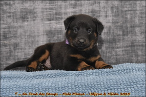  DSC0110 [LIR5 1024x768]