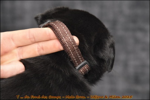  DSC0001 [LIR5 1024x768]