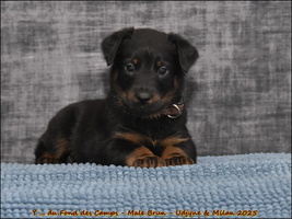  DSC0004 [LIR5 1024x768]