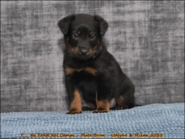  DSC0010 [LIR5 1024x768]