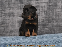  DSC0012 [LIR5 1024x768]