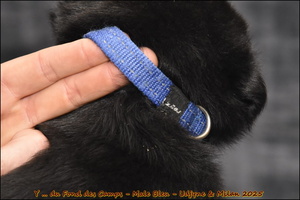  DSC0090 [LIR5 1024x768]