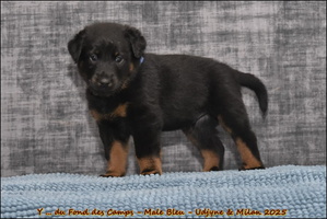  DSC0096 [LIR5 1024x768]