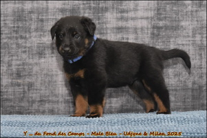  DSC0098 [LIR5 1024x768]