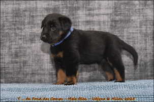  DSC0101 [LIR5 1024x768]