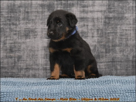  DSC0102 [LIR5 1024x768]