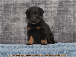  DSC0105 [LIR5 1024x768]