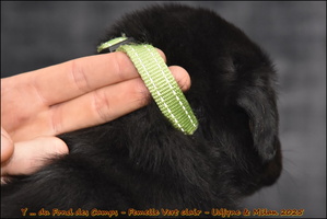  DSC0042 [LIR5 1024x768]