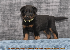  DSC0047 [LIR5 1024x768]