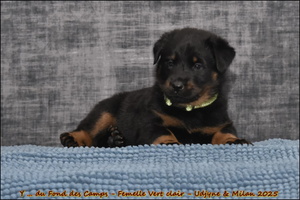  DSC0051 [LIR5 1024x768]