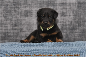  DSC0053 [LIR5 1024x768]