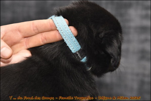  DSC0136 [LIR5 1024x768]