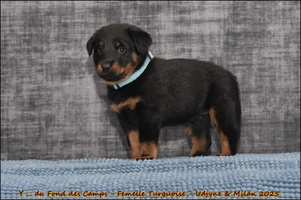  DSC0140 [LIR5 1024x768]