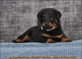  DSC0147 [LIR5 1024x768]