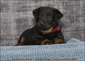  DSC0059 [LIR5 1024x768]