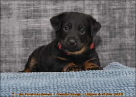  DSC0061 [LIR5 1024x768]