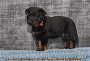  DSC0062 [LIR5 1024x768]