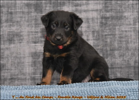  DSC0065 [LIR5 1024x768]