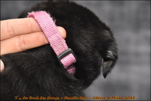  DSC0014 [LIR5 1024x768]