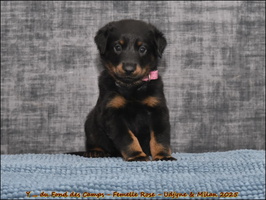  DSC0016 [LIR5 1024x768]