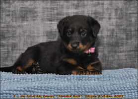  DSC0019 [LIR5 1024x768]