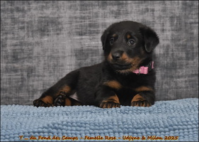  DSC0021 [LIR5 1024x768]