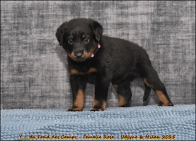  DSC0023 [LIR5 1024x768]