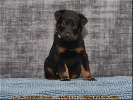  DSC0030 [LIR5 1024x768]