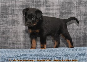  DSC0032 [LIR5 1024x768]