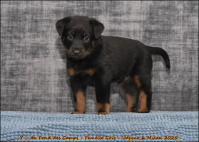  DSC0035 [LIR5 1024x768]