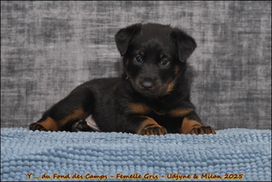  DSC0037 [LIR5 1024x768]