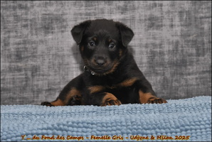  DSC0041 [LIR5 1024x768]