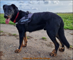 Urbex (2) [LIR5 1024x768]