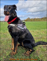 Urbex (3) [LIR5 1024x768]