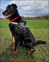 Urbex (5) [LIR5 1024x768]