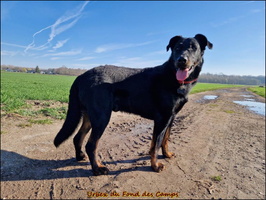 Urbex (6) [LIR5 1024x768]