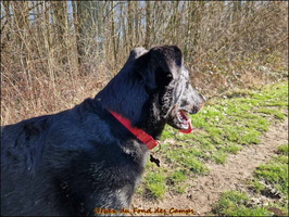 Urbex (7) [LIR5 1024x768]