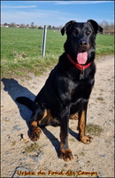 Urbex (8) [LIR5 1024x768]