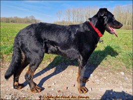 Urbex (10) [LIR5 1024x768]